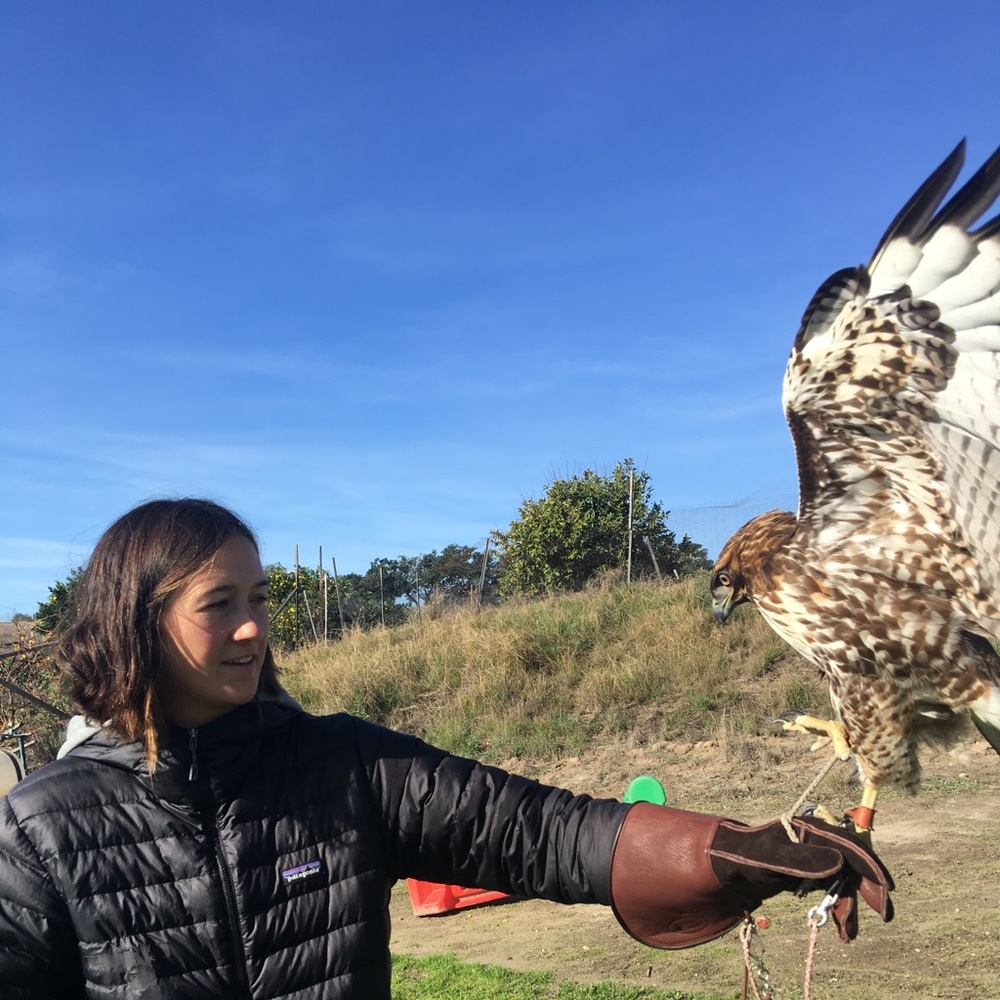 Meet your Posher, Kaitlynd